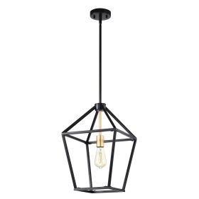 Pendant light (Color: Black)